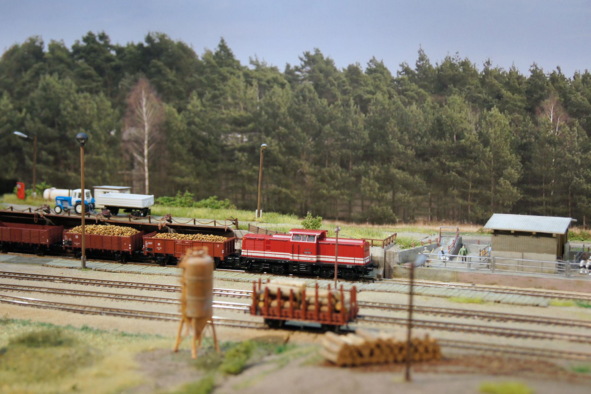 Intermodellbau: Modelleisenbahn-Club Seehausen (Altmark) e.V. (TT)